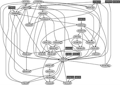 Integration of Biological Networks for Acidithiobacillus thiooxidans Describes a Modular Gene Regulatory Organization of Bioleaching Pathways